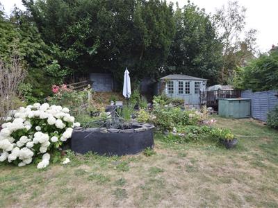 Picture 23